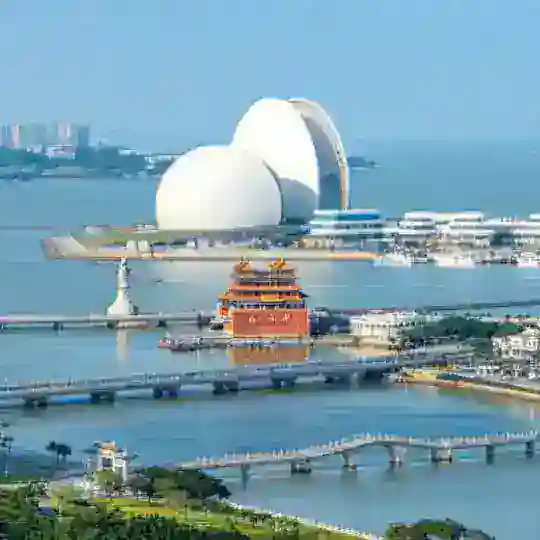 （中山/珠海）嫩妹修车协会