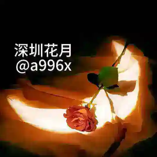 深圳花月中转@a996x
