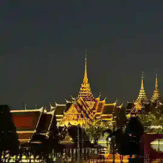 金边老司机群🔥金边会所