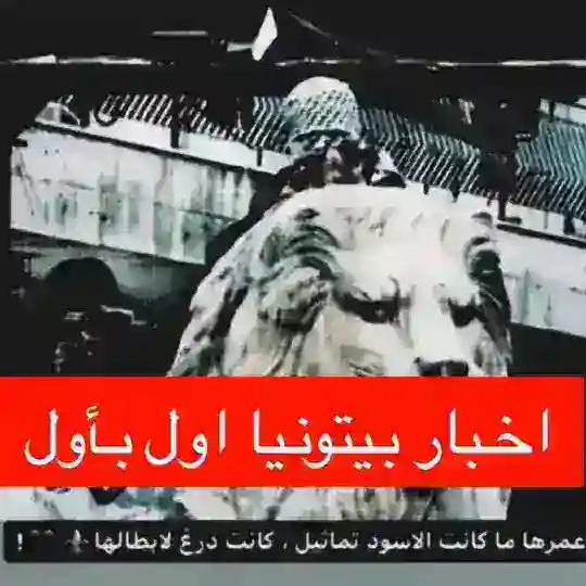 اخبار بيتونيا اول بأول