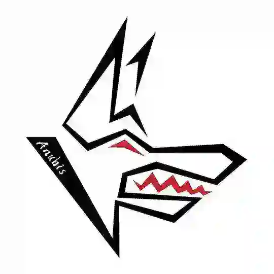 Anubis端口交流群