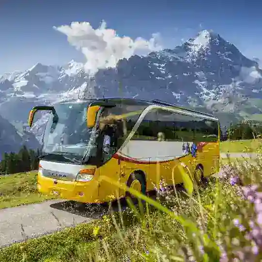 🏞Екскурсії з Німеччини для українців, виїзд з Касселя, Марбурга, Гісена, Штутгарта... +380637757676, officearkadia@gmail.com