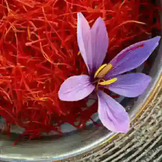 محصولات،آجیل، خشکبار، زرشک و زعفران اشراف