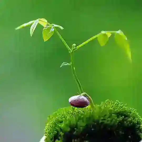 Aung_Lottery_စာရွက်ပြတိုက် ️