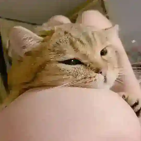 东南亚I吃瓜猎奇👀吃瓜搞笑I段子😍