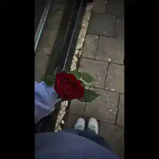 تبادل احالات بوتات