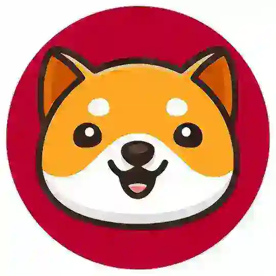 BabyDoge Japan 🇯🇵