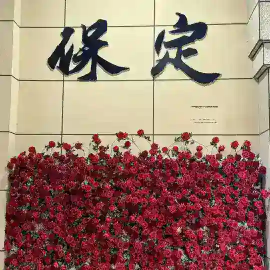 河北保定女儿国周更群