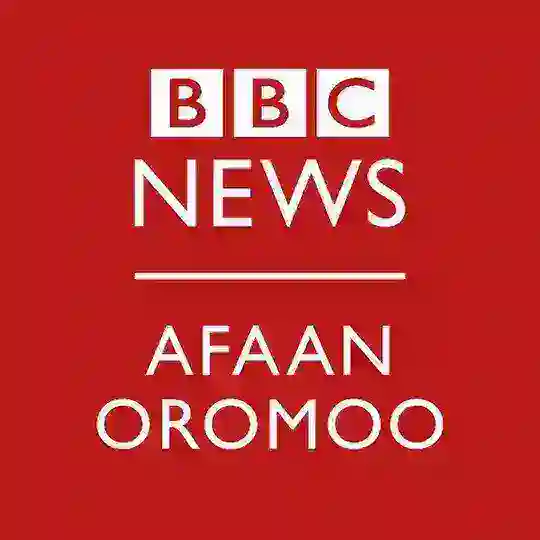 BBC AFAAN OROMOO Discussion