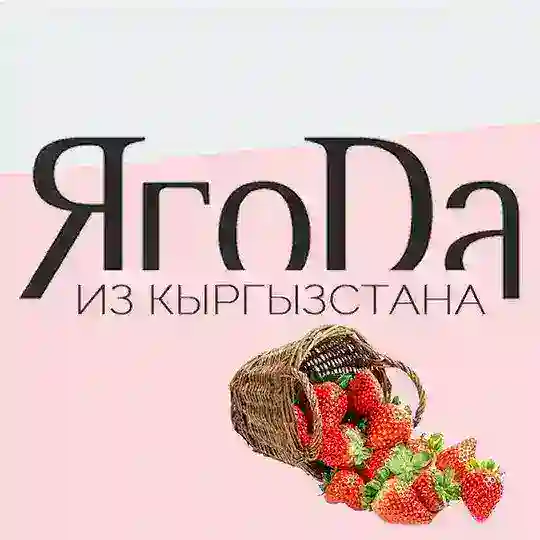 Мончегорск | Ягоды из Кыргызстана 🍓