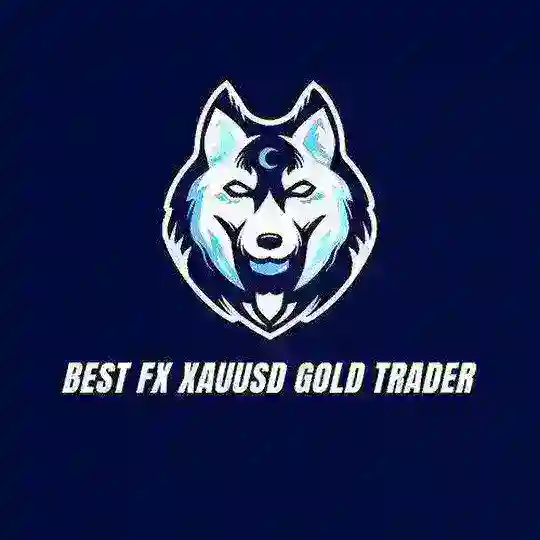 BEST FX XAUUSD GOLD TRADER