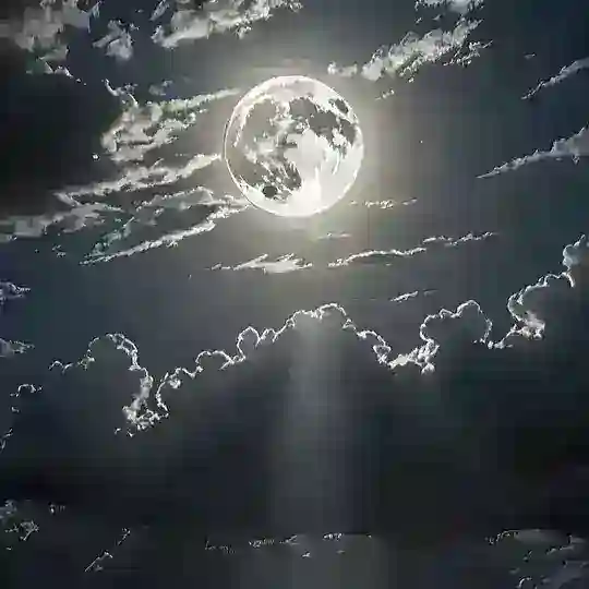 ᥇ꫀડ𝕥 ᥇ꪶꪀ