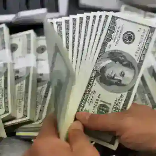 NHẢY VIỆC CAM