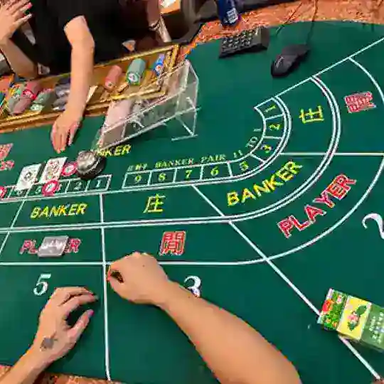 缅甸小勐拉 威尼斯 皇家 欧亚 环球 银河国际厅 在线诚信开户群