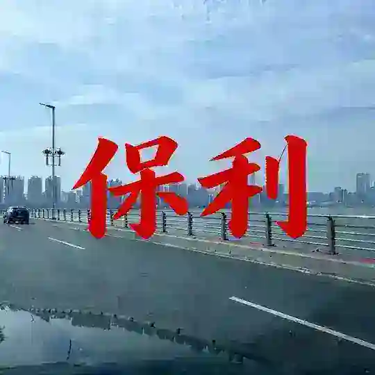 东莞保利集团