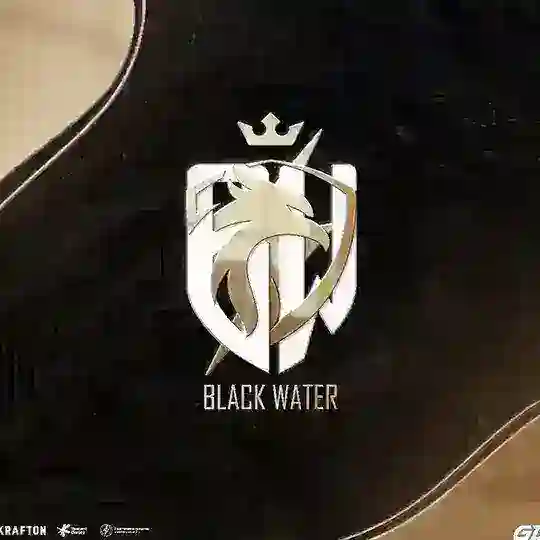 BlackWater Scrims ๐ฆ๐ช