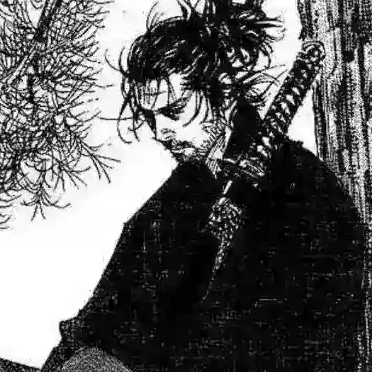Books and mangas