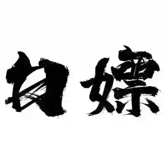 白嫖机场-一直白嫖一直爽
