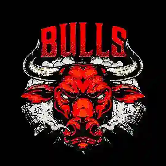 Bulls Network