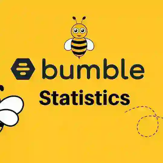 全球定制🔥（大黄蜂）