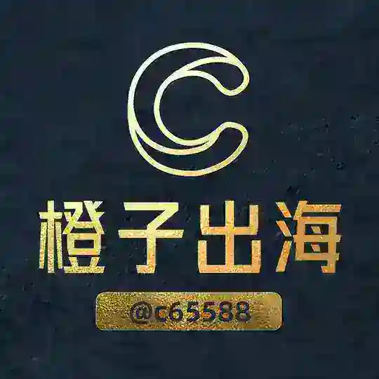 橙子出海•资源项目海外支付交流群