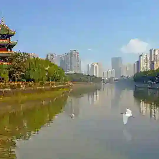 成都修车大队