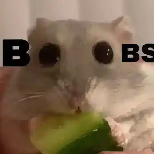 Чач♡
