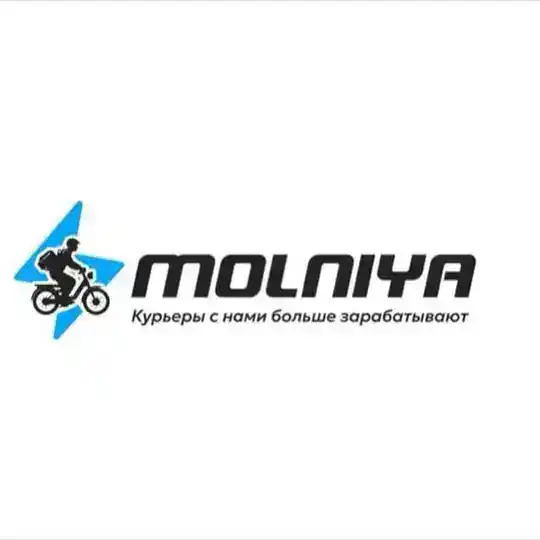 Molniya СПб ЧАТ
