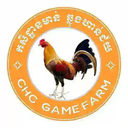 កសិដ្ឋានមាន់ ឆ្លូងហាន់ជ័យ CHC GameFarm Chat