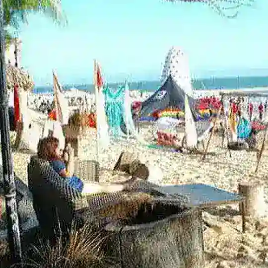 Chia sẻ rau và máy bay