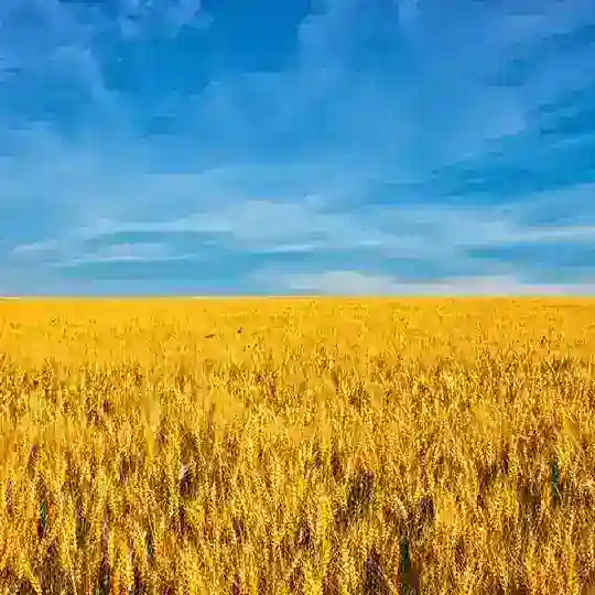 Кишинев. Аренда. Недвижимость