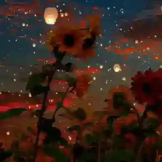 向日葵（交流小分队）🥰