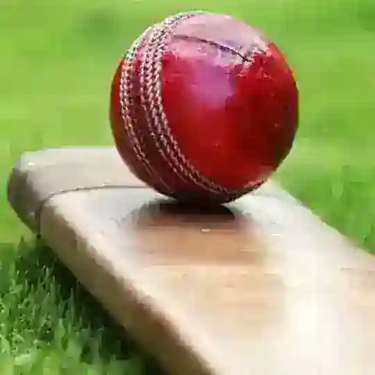 CRICKET PREDICTION