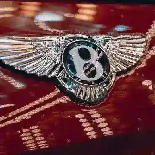 crypto bentley manⓂ️(chat)