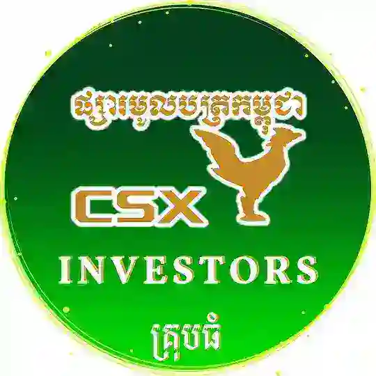 CSX INVESTORS