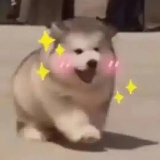 Cyの買賣交易群¹