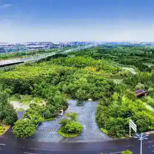 常州新龙生态林 🌳