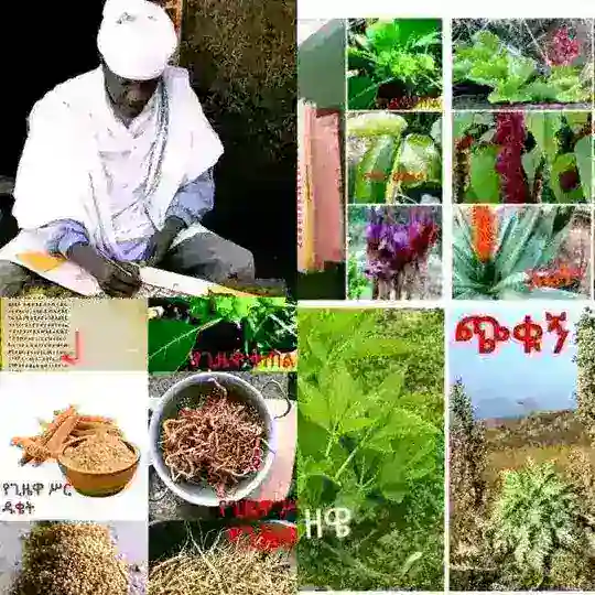 መርጌታ ዩሀኒስ