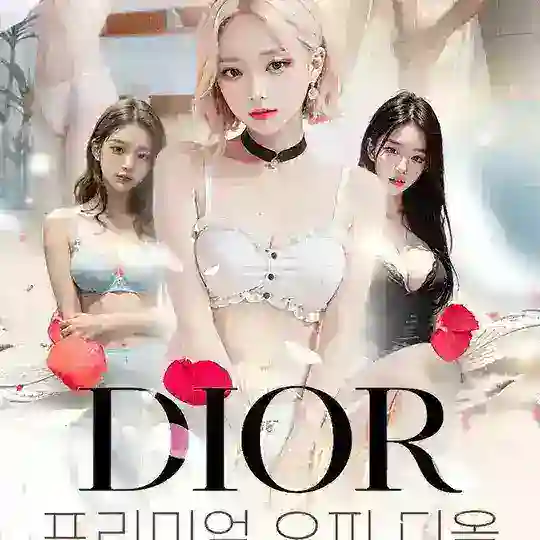💖부평-디올💖예약안내💖