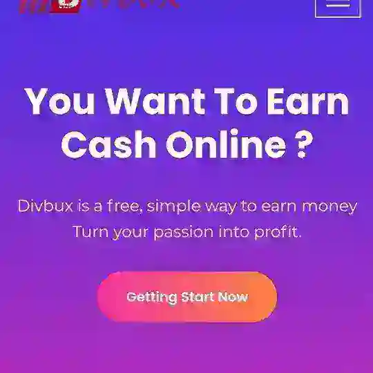 Divbux group
