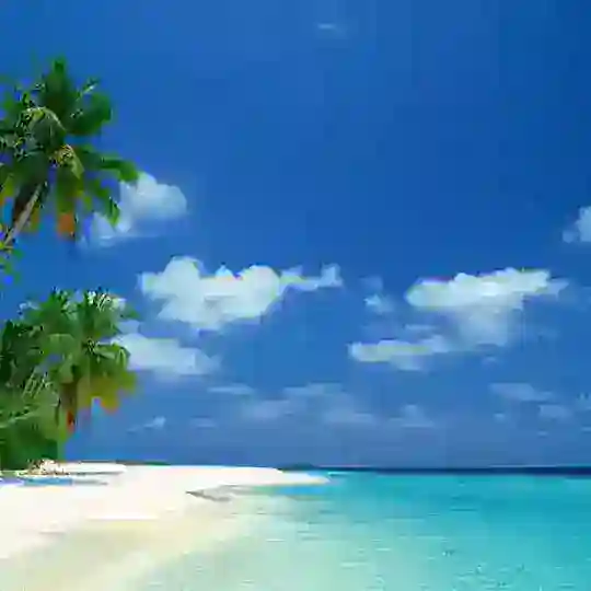 东南亚菠菜交流群【Southeast Asia Onlinegaming Exchange Group】