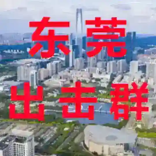 东莞【出击群】