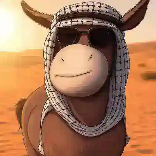 DONKEY_BSC_CTO
