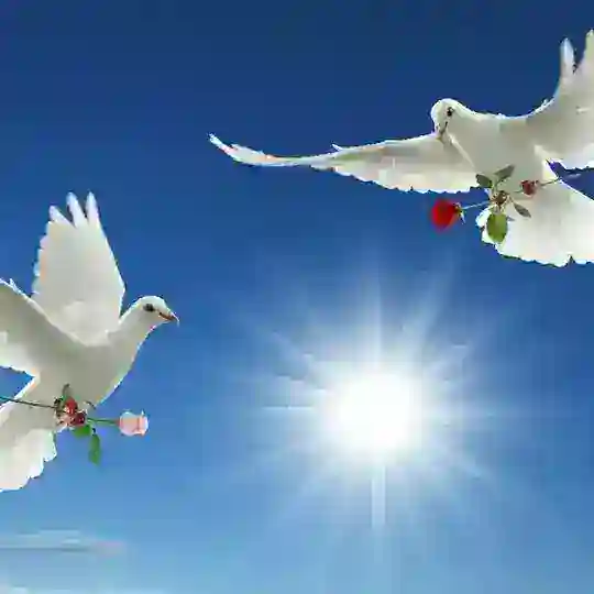 گروه . دور همی. شادی.