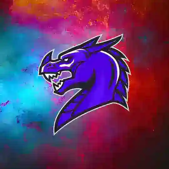 Dragon Turbo Project