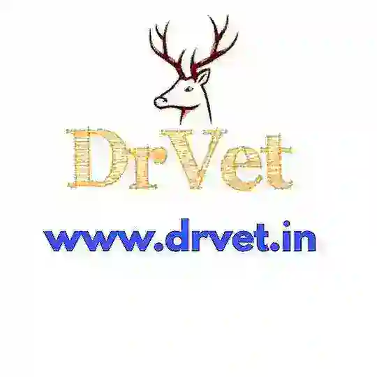 Dr. Vet