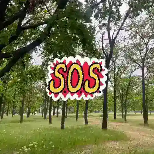 Защита Дубов Николаев