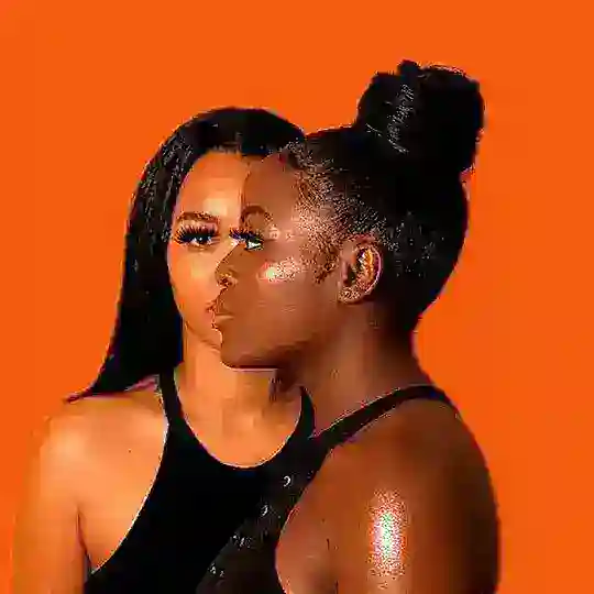 ebonyfan