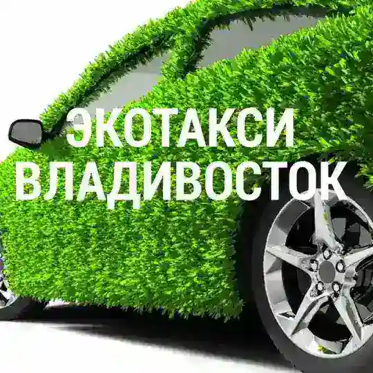 Экотакси