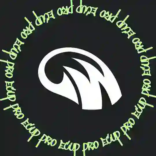 ECUP.PRO chats